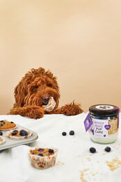 Pineut Woof Bake Pupcake van Pineut