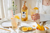 Pineut Cava Sangria van Pineut
