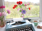 Flat Flowers Anemone Pink van Flat Flowers