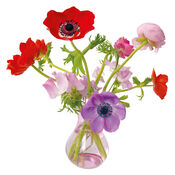 Flat Flowers Anemoon pink van Flat Flowers