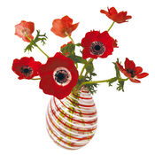 Flat Flowers Anemoon rood van Flat Flowers