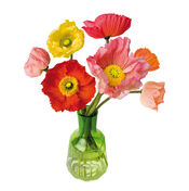 Flat Flowers Papaver van Flat Flowers