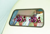 Flat Flowers Viooltjes van Flat Flowers