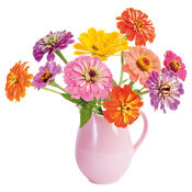 Bekijk Flat Flowers Zinnia van Flat Flowers