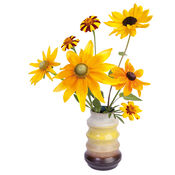 Bekijk Flat Flowers Zonnebloem van Flat Flowers