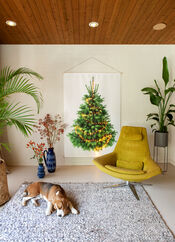 Bekijk Tiny-Trees Kerstballenboom van Tiny-Trees