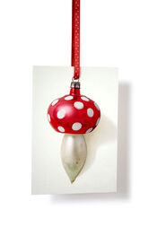 Bekijk ECO kerstbal-kaarten aan lint van Tiny-Trees