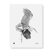 Teemu J&auml;rvi Reiger poster van Teemu J&auml;rvi
